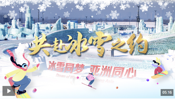 阿仙奴中场